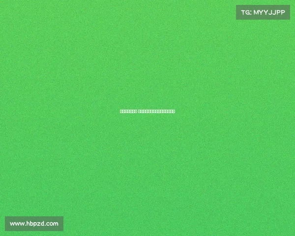 新赛季正式开启 这面盾牌象征着未来的挑战与希望